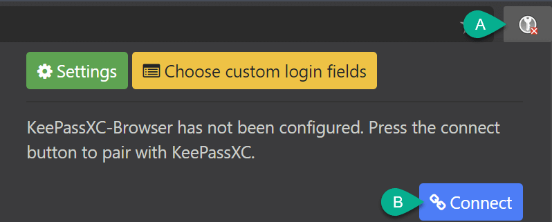 browser extension connect