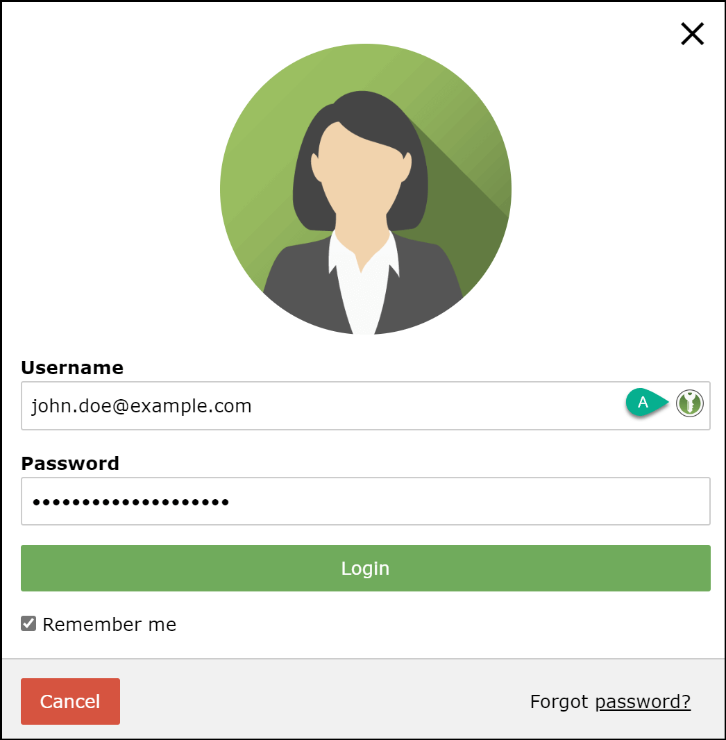 browser fill credentials